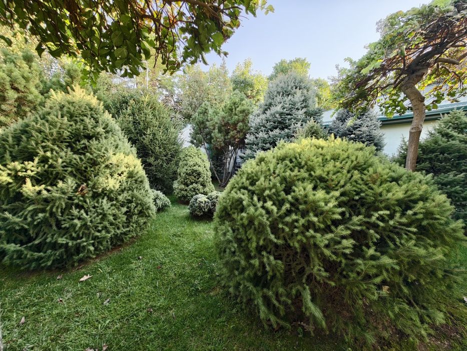 Продается дом. Участок 13 соток махалля Садаф Карасу 2 ID: #3522