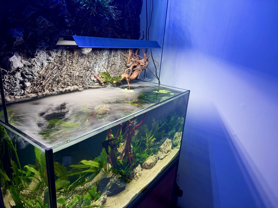 Палюдариум /Palydarium