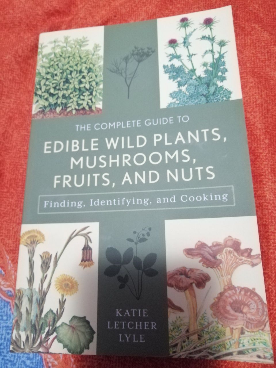 Carte Edible Wild plants, fruits and mushrooms