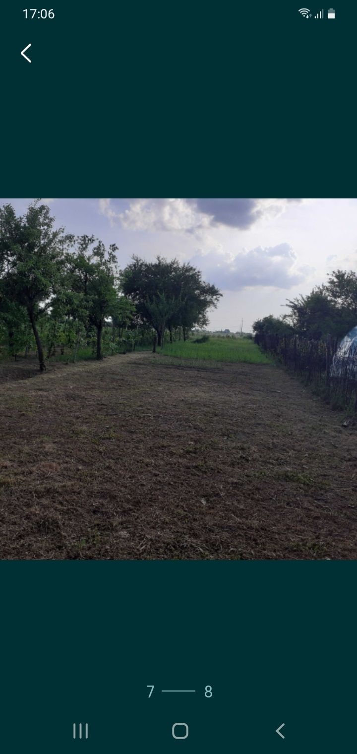 Vând 5000mp teren intravilan în Bucsani- Dâmbovița