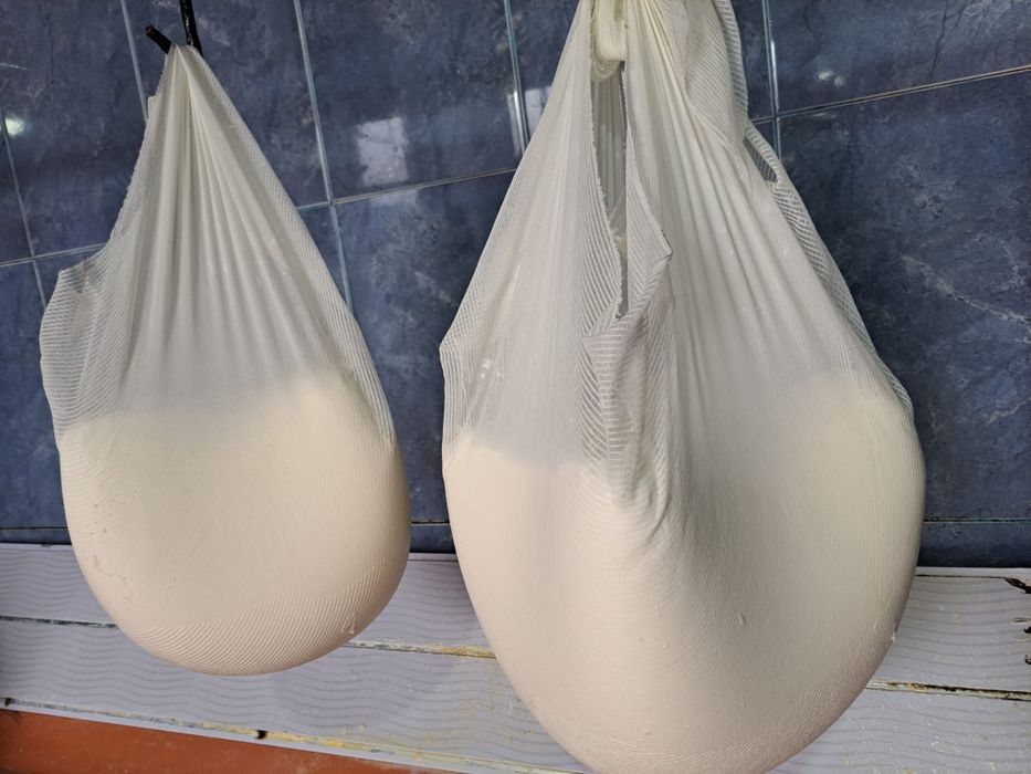 Branza de capra patrat sau sedila