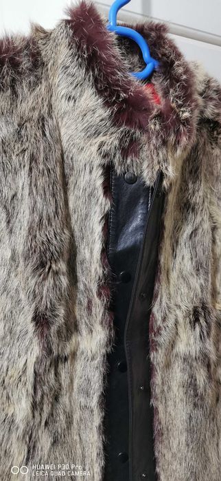 Vesta Dama Massimo Rebecchi