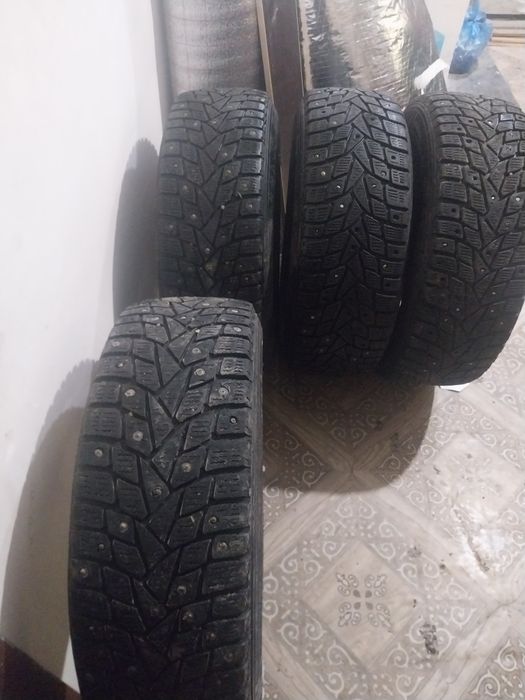 Зимные шины дунлоп