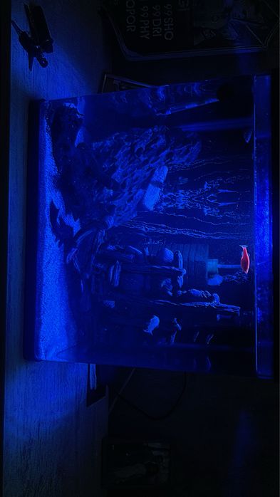 Vand acvariu cu capac, complet 40 L cu sticla completa