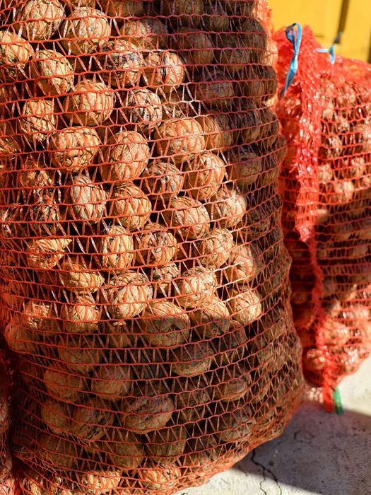 Vand nuci 2025! La saci de 10 sau 5 kg