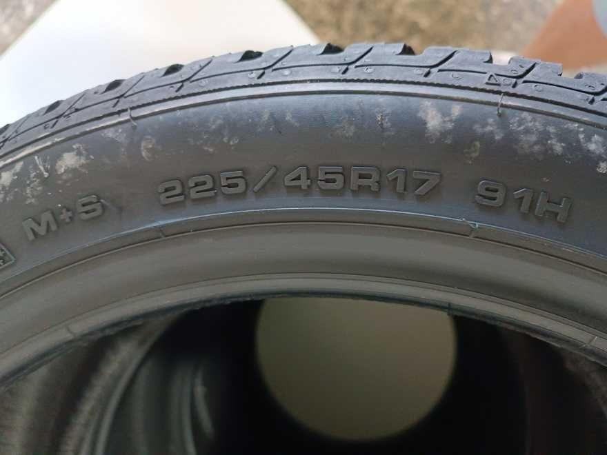 225 45 17 91H 225/45/17 SAVA CP N10695 M+S