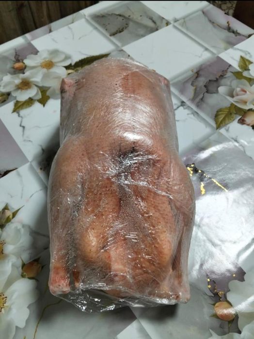 Продам мясо гуся.