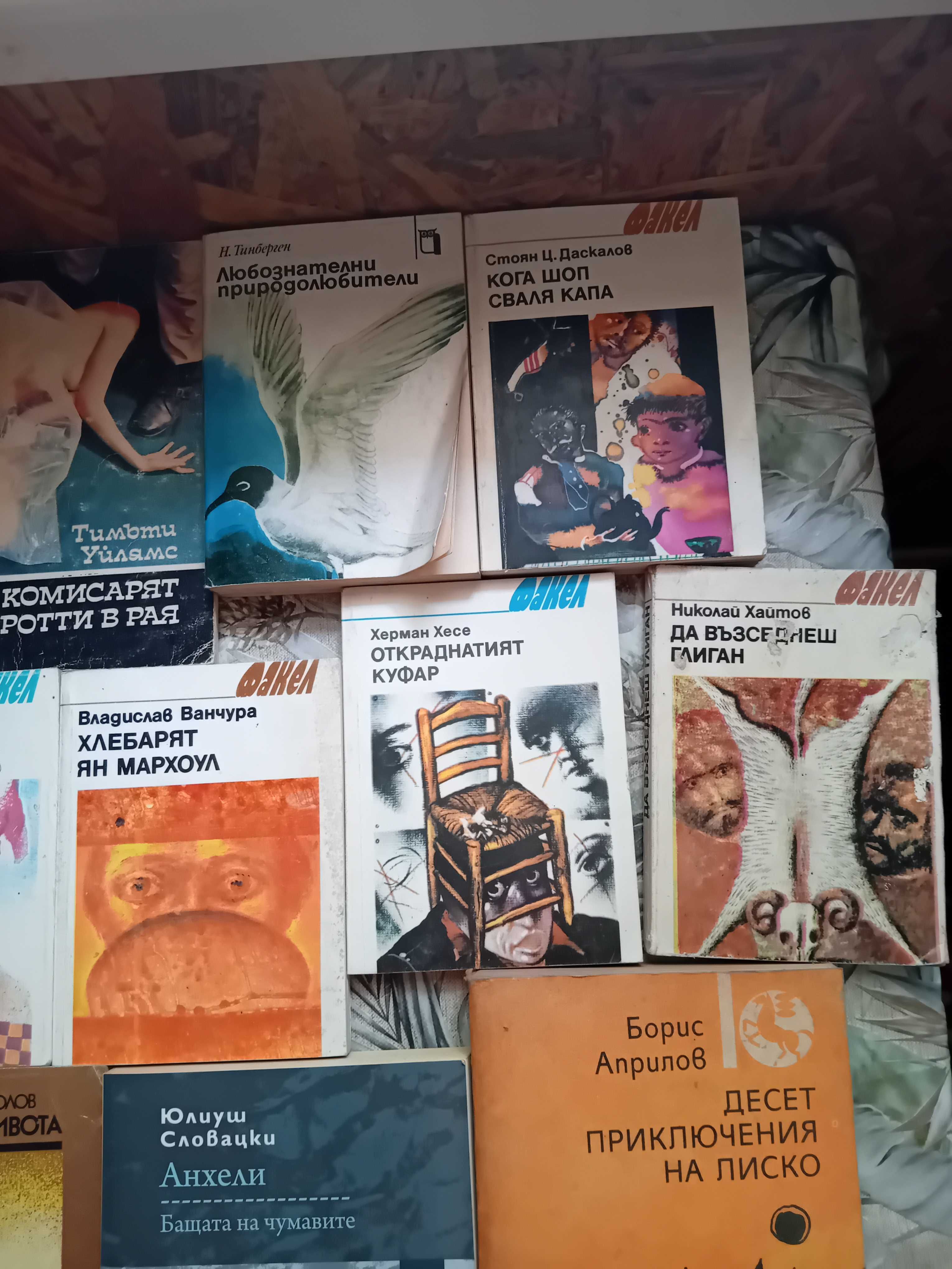 Книги различна тематика: детски, исторически, биографии, художествена