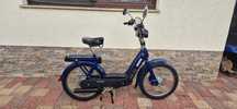 Piaggio ciao 50cm