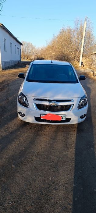 Кобллт миднайт жылы 2025 фулл хамме зат салинган