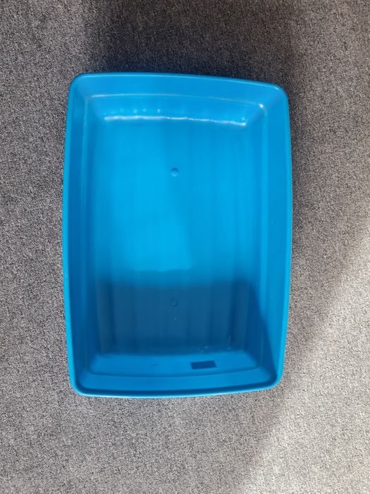 Litiera pisicute de culoare albastrul / geanta pisicute