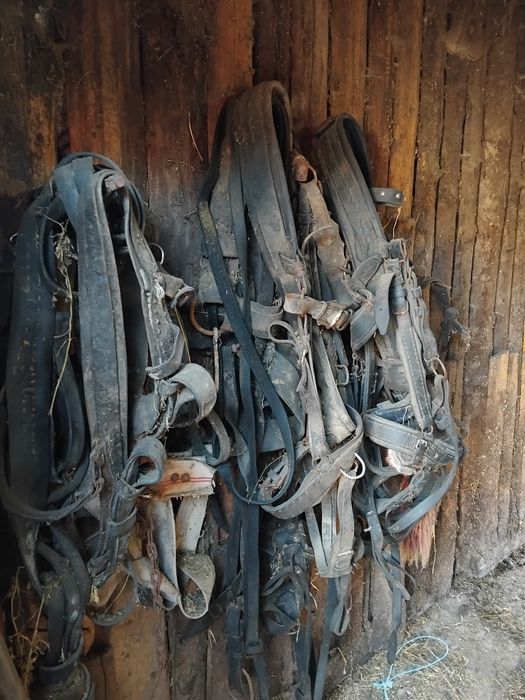 De vanzare peste 200 de baloti mici de lucerna vand si carata si ham