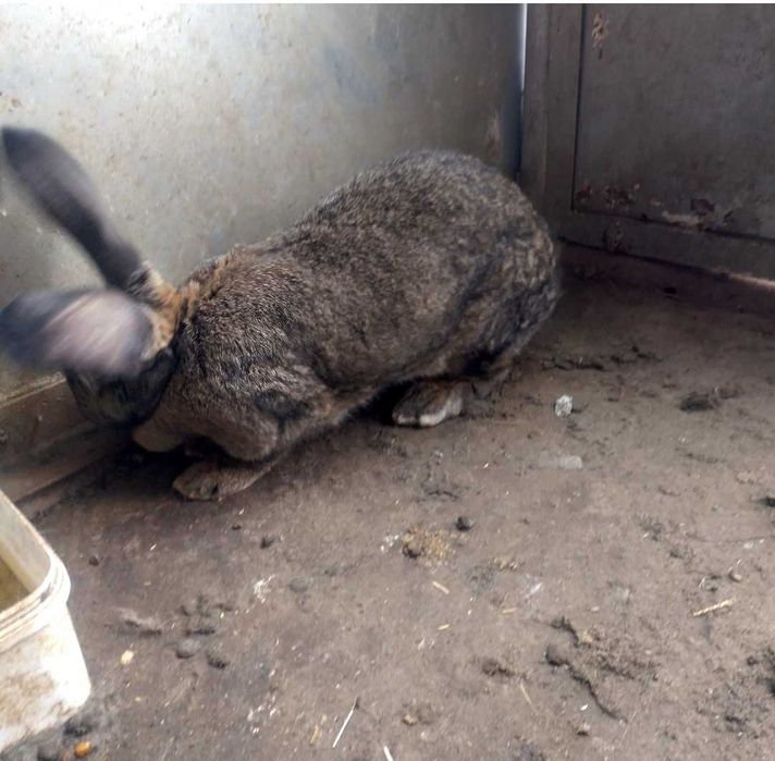 Женска на 10 месеца