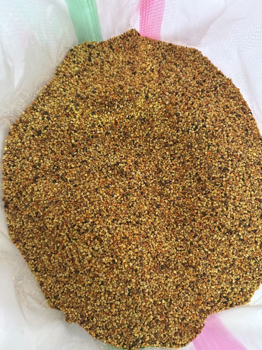 Vand polen uscat/crud , pastura