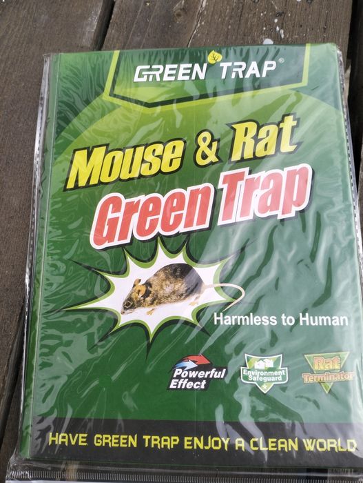 Capcana șoareci cu lipici