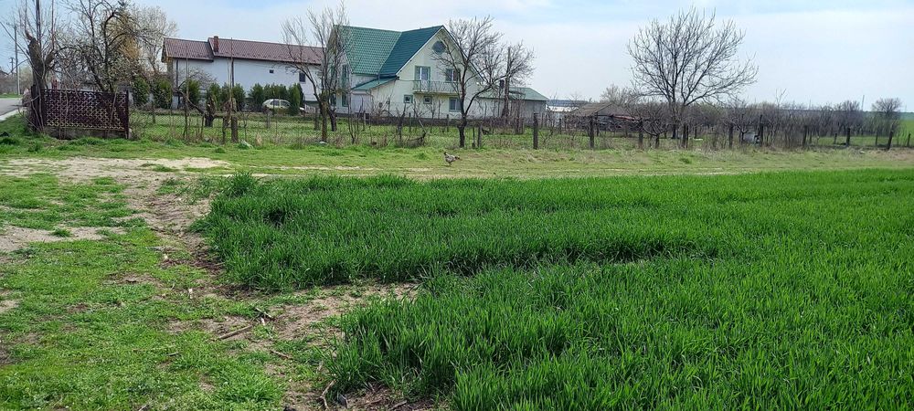 Teren intravilan de vanzare