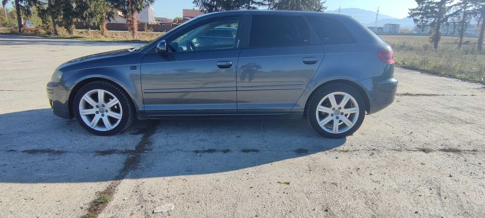 Audi A3 8P 2007 2.0 TDI