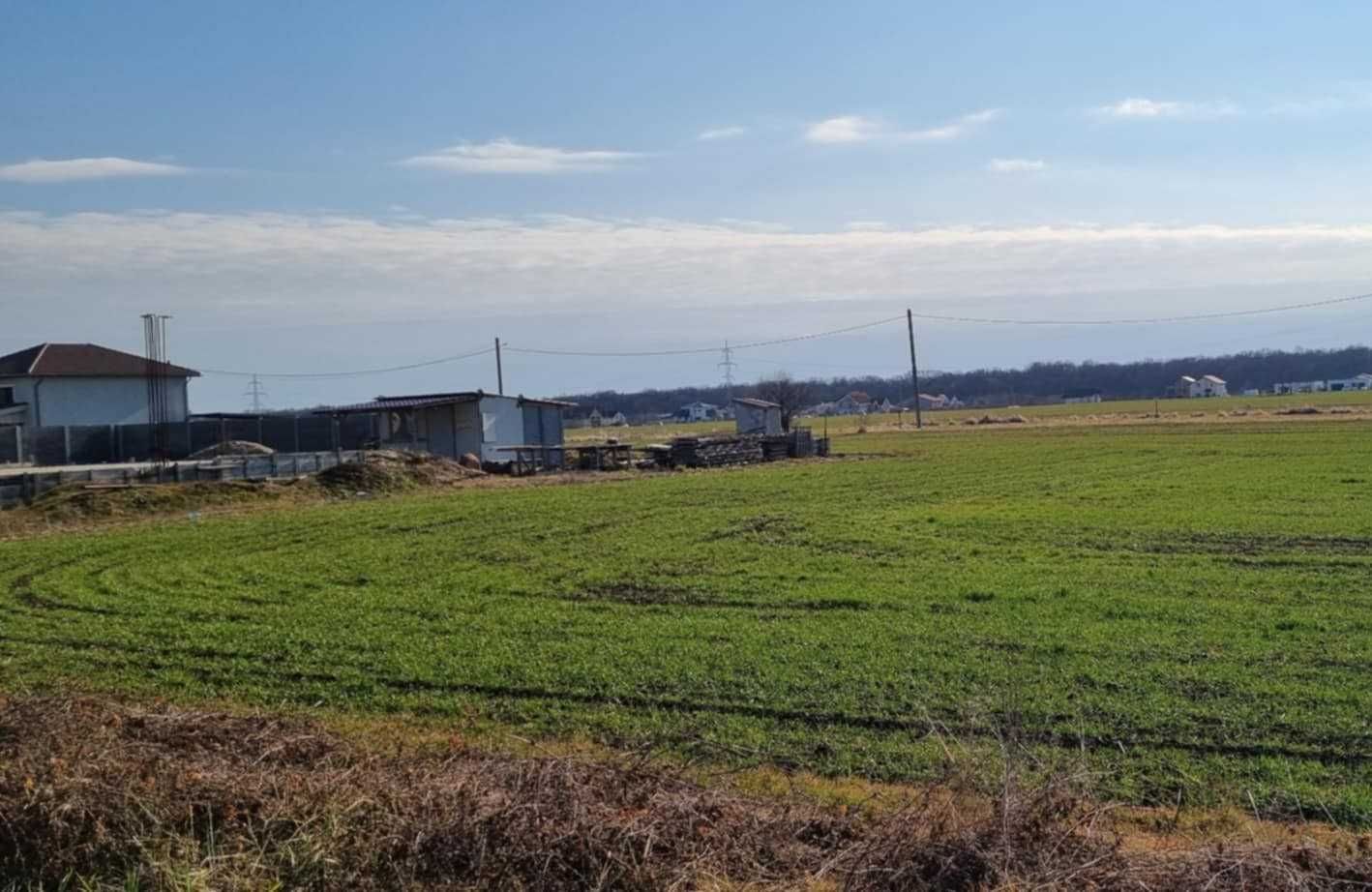 Proprietar, vând teren, construcții case, Zona Lac, Dumbrăvița