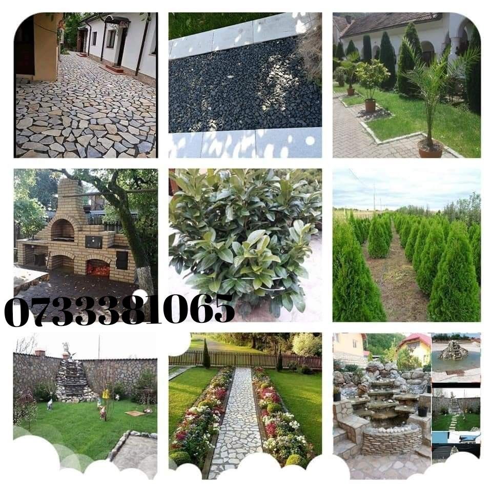 Vând plante ornamentale oriunde în țară execut grătare cascade cu tot