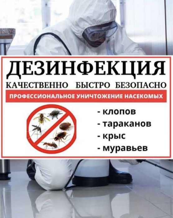 Уничтожение Клопов. ДЕЗИНСЕКЦИЯ помещений