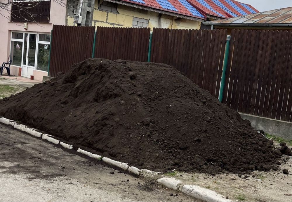 Pamant negru vegetal. Pamant de umpluturi