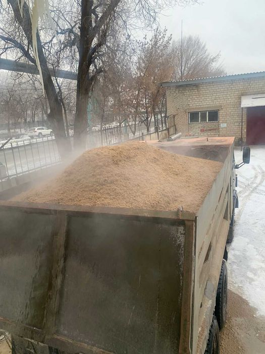 Корм для сельхоз животных - пивная дробина, барда