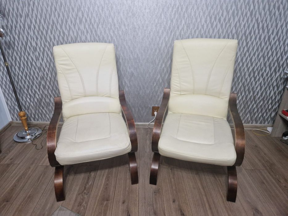 Fotolii din piele ecologica