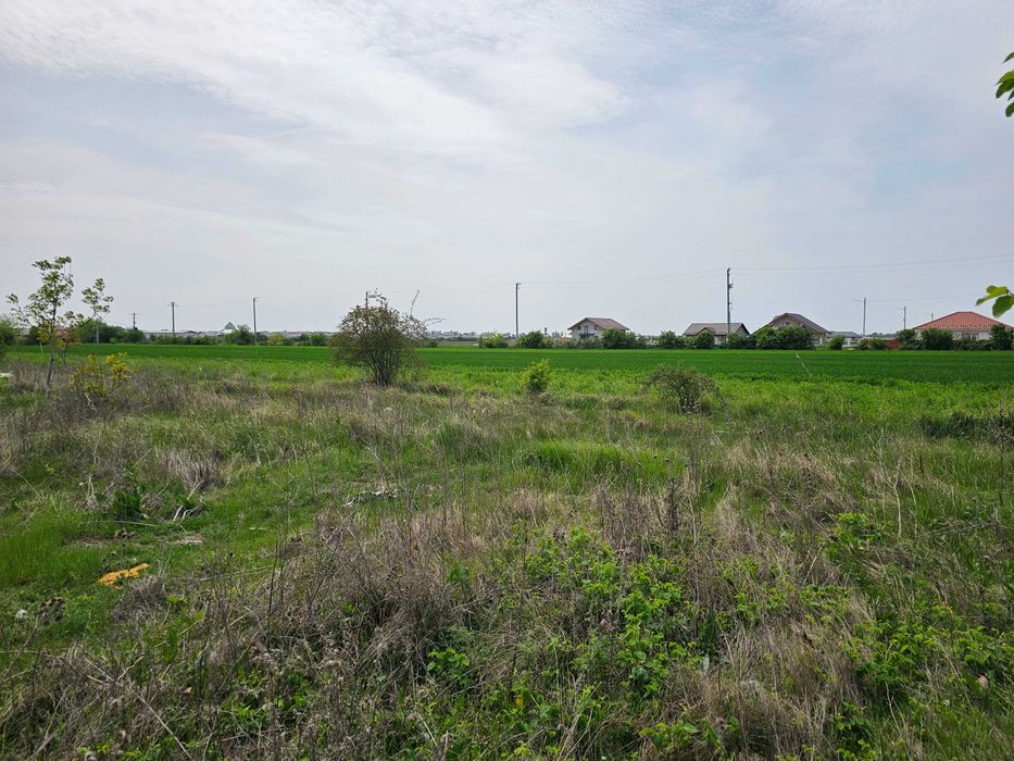 Teren intravilan curti constructii Darza pentru casa sau duplex