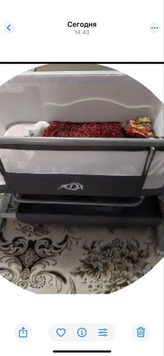 Чакалок калабени сотилади йанги