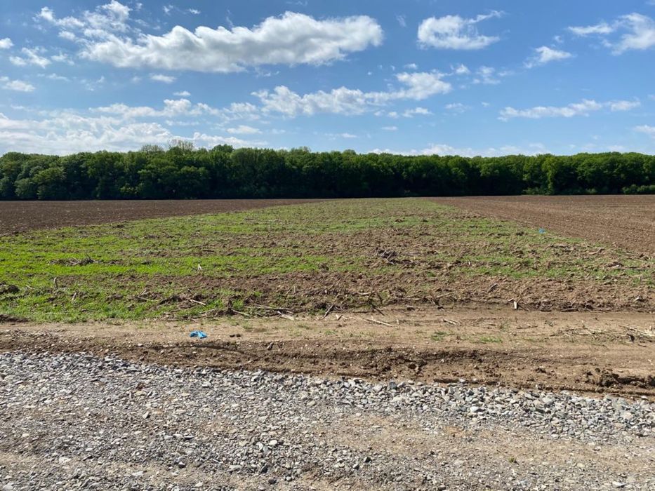 Vand teren intravilan cu deschidere la Padurea Snagov 7506mp