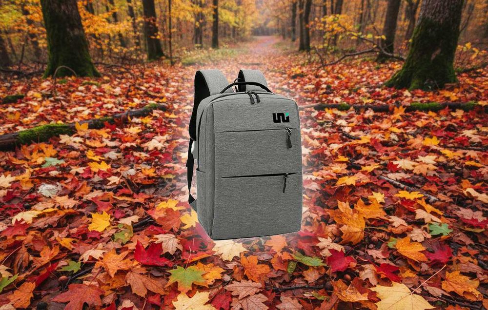 Голяма раница с отделение за лаптоп - ЛИКВИДАЦИЯ