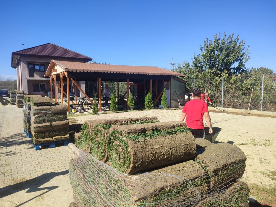 Gazon rulou sport 23 de lei m2. Transport și montaj inclus în pret.