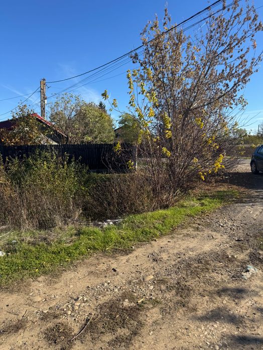 Teren Buftea Darza loturi 650 mp