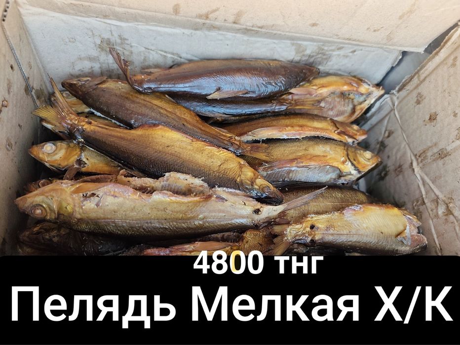 Продаю рыбу копченую