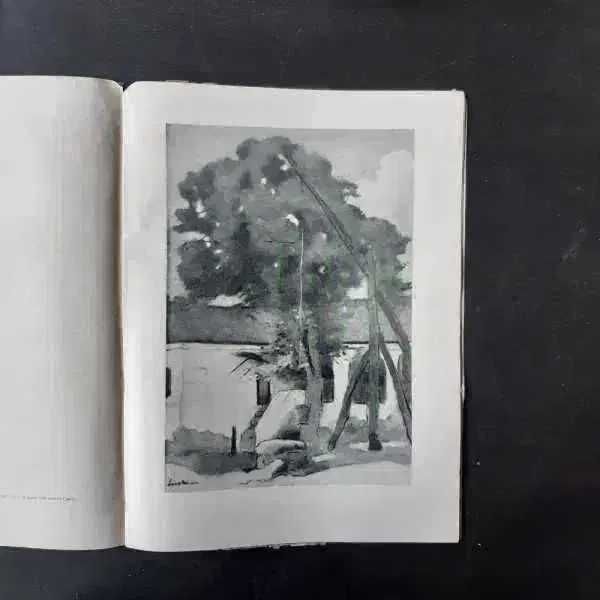 Album picturi Stefan Luchian