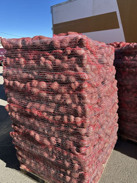 Cartofi alb si rosu import en gross