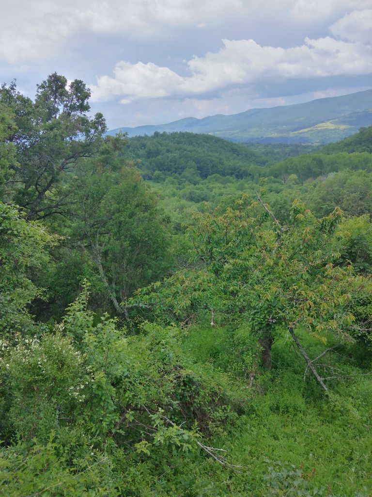 Продава се Къща в София, Света Троица - 30 кв.м за 425 €/кв.м - Снимка #21