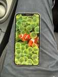 Iphone 12 Pro utlizat
