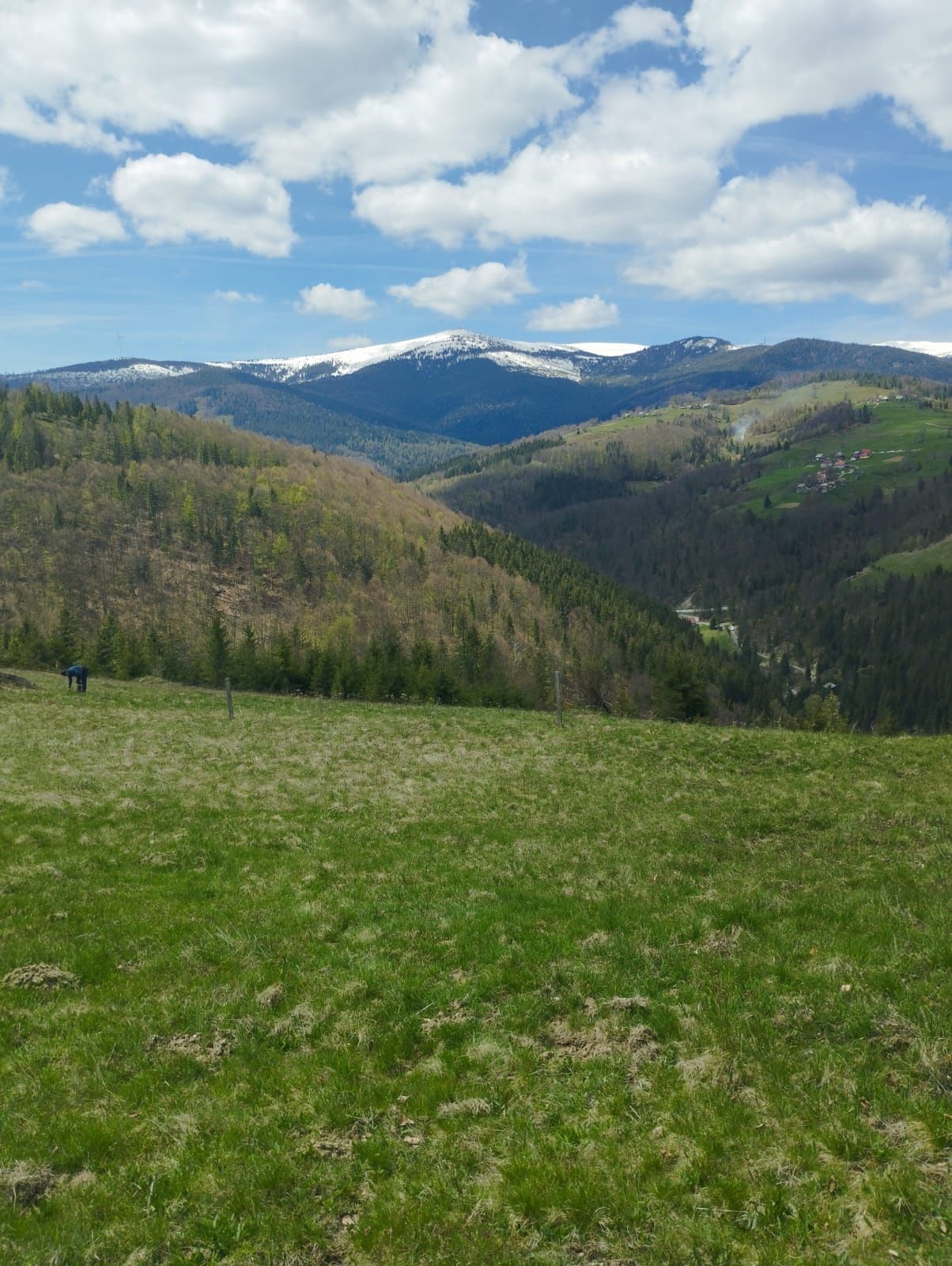 Teren de vânzare în Munți Apuseni