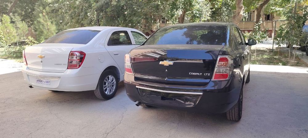 Kobolt qora midnayt 2025 yil