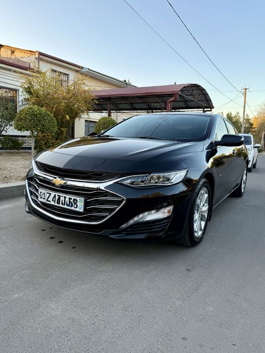 Malibu primer  sotiladi holati yengi