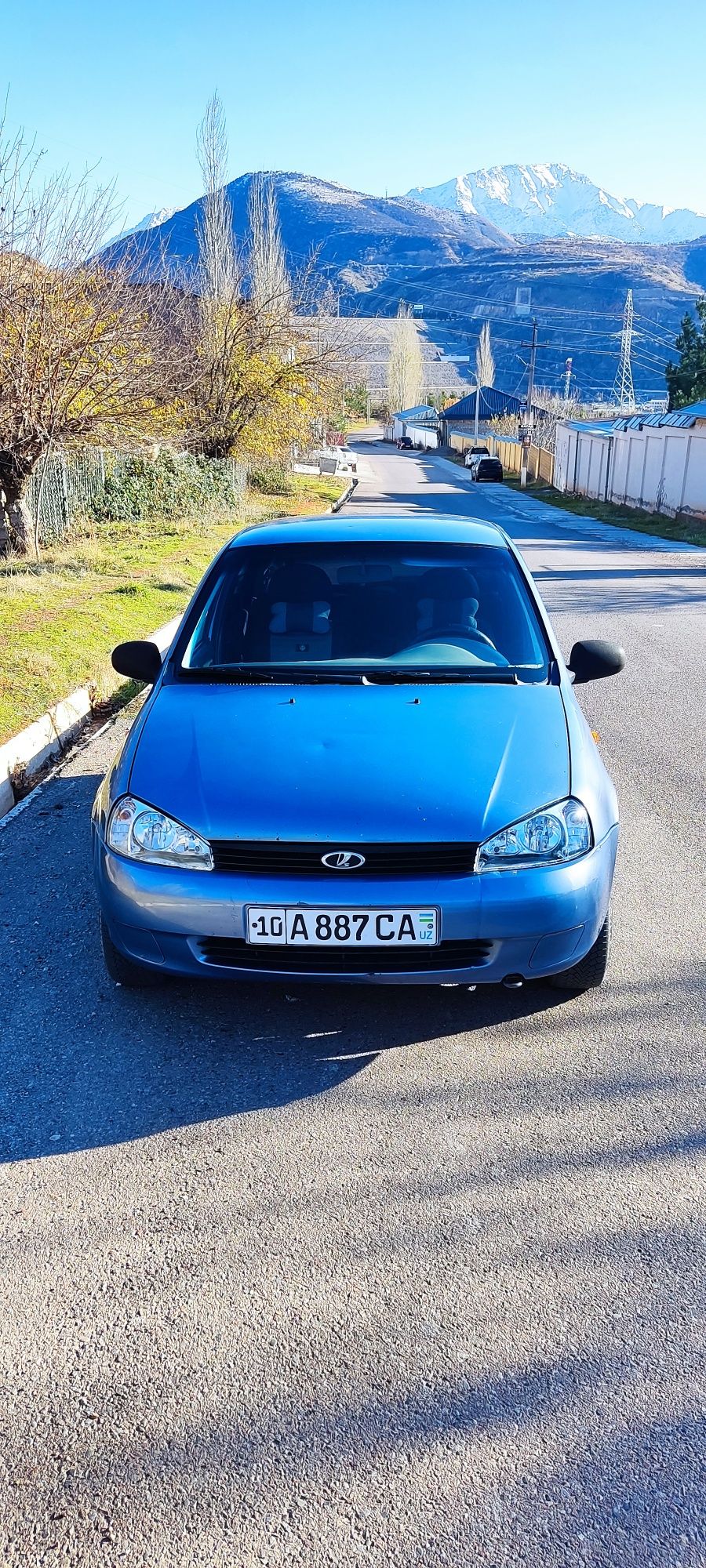 Lada kalina v xoroshom sostoyanie