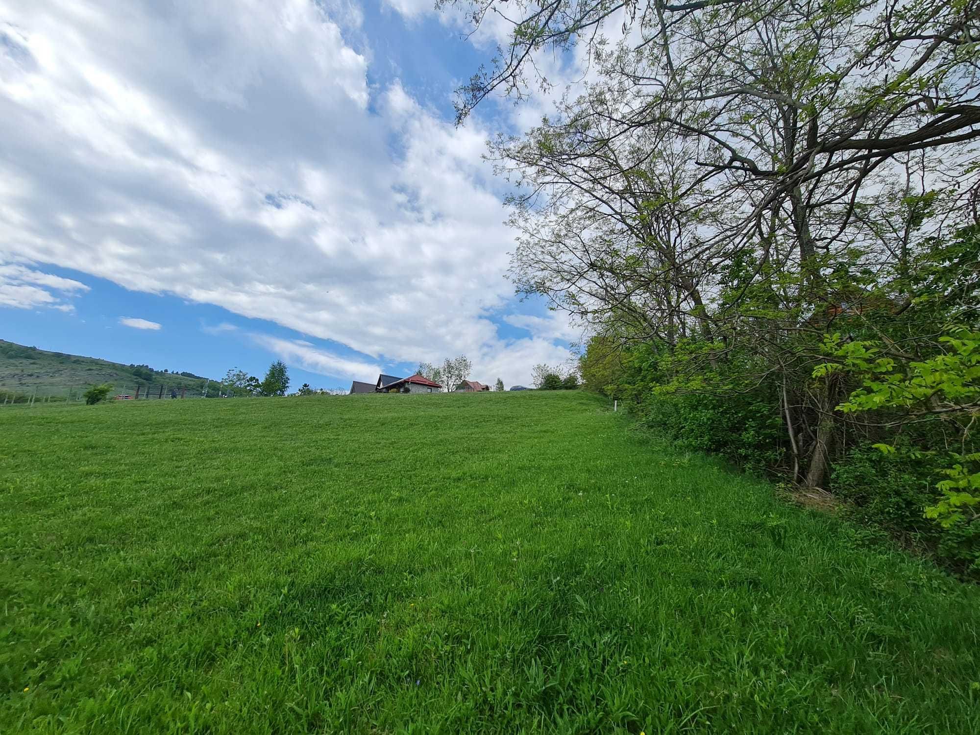 Teren extravilan in loc. Râmeț, jud. Alba (3058 mp).