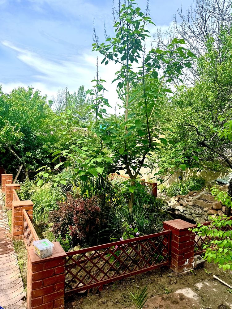 Идеальное пространство дача с удобствами и садом 12 соток в Новбахоре!