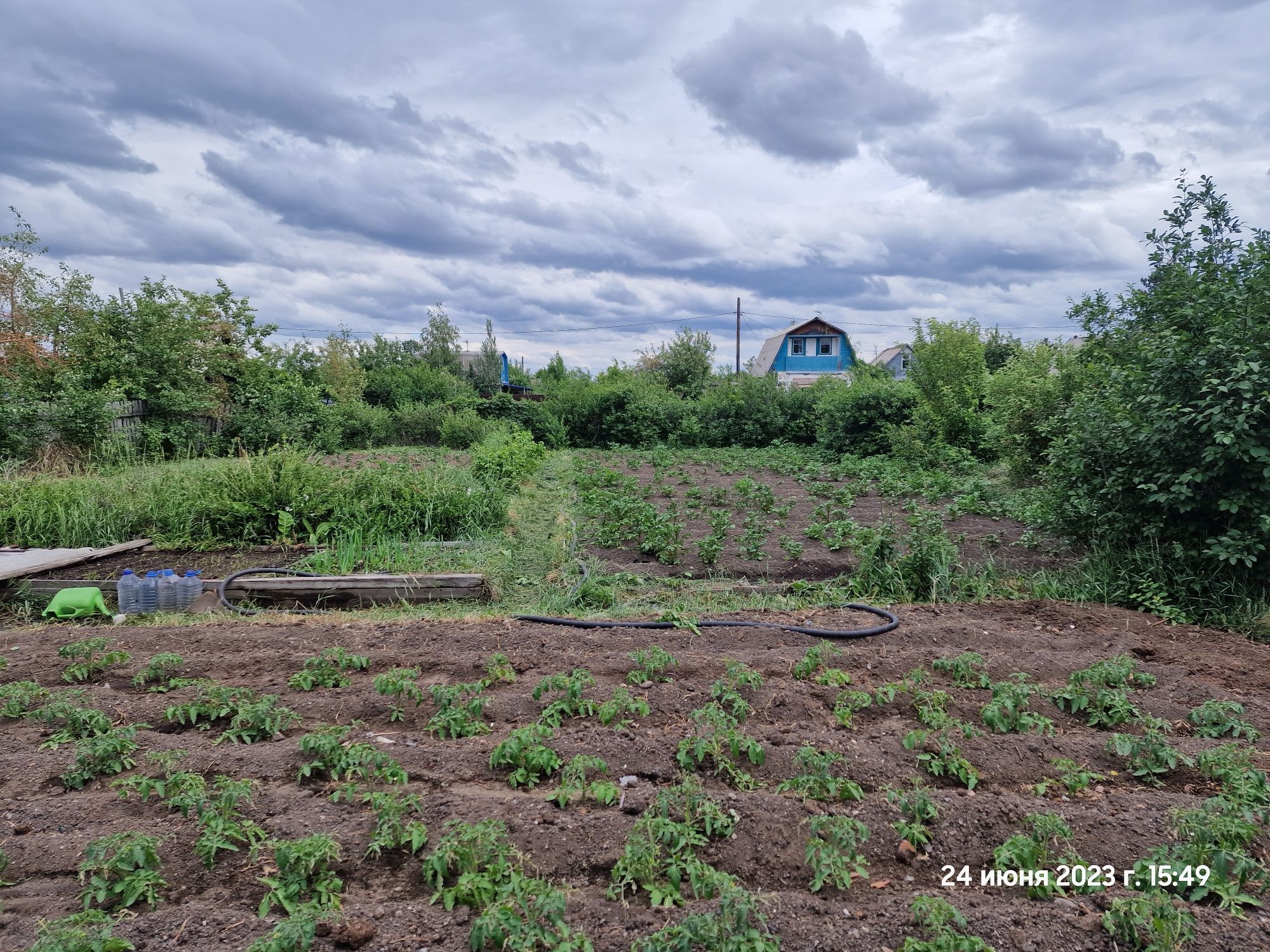 Продам два дачных участка.