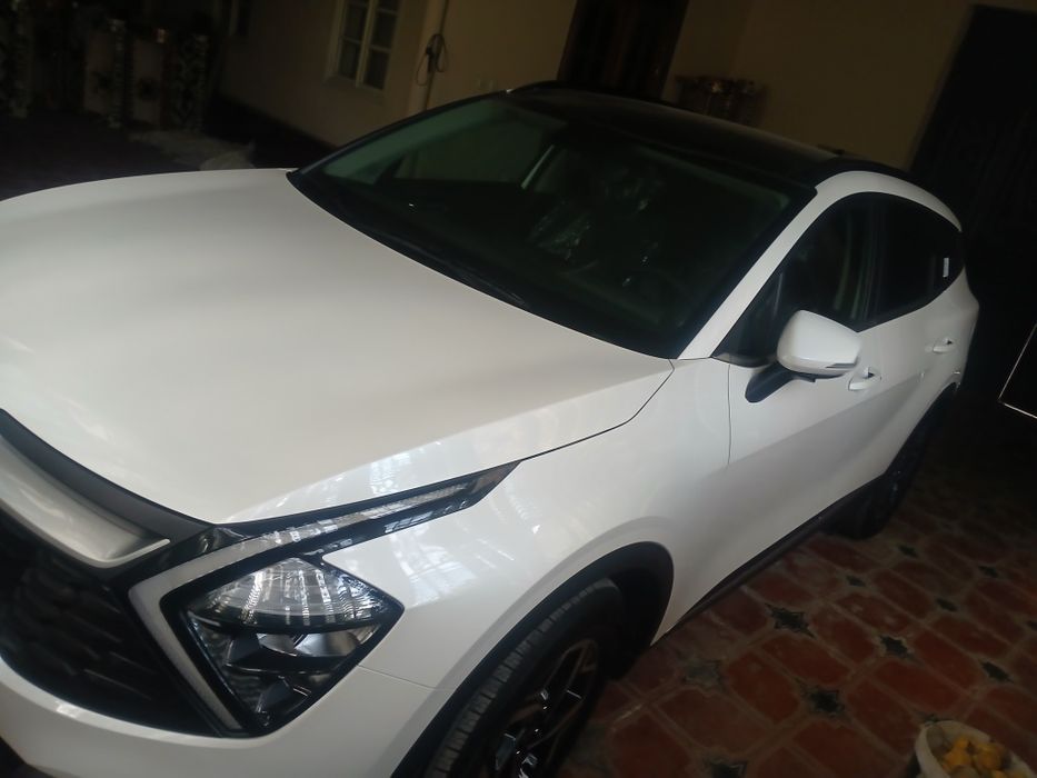 2024 йилда олинган, панорама том спортейж