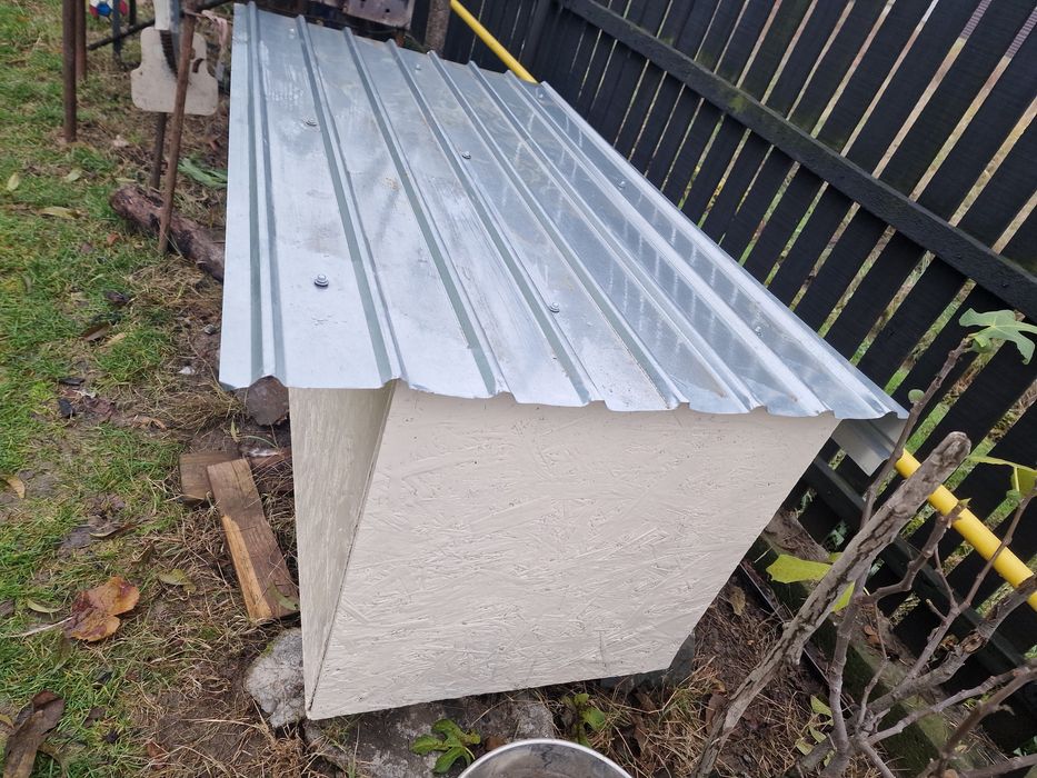 Cotet / Casa Mare pentru caine / Caini