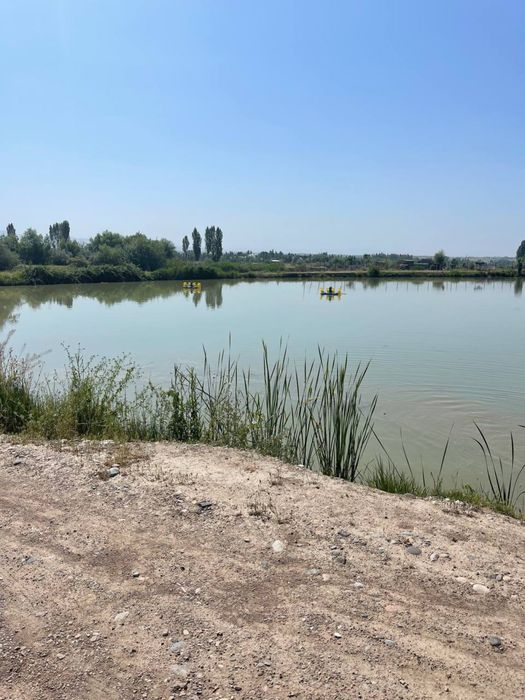 Продается рыбхоз, готовый бизнес