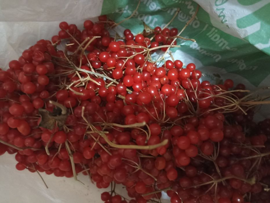 Продам      калину