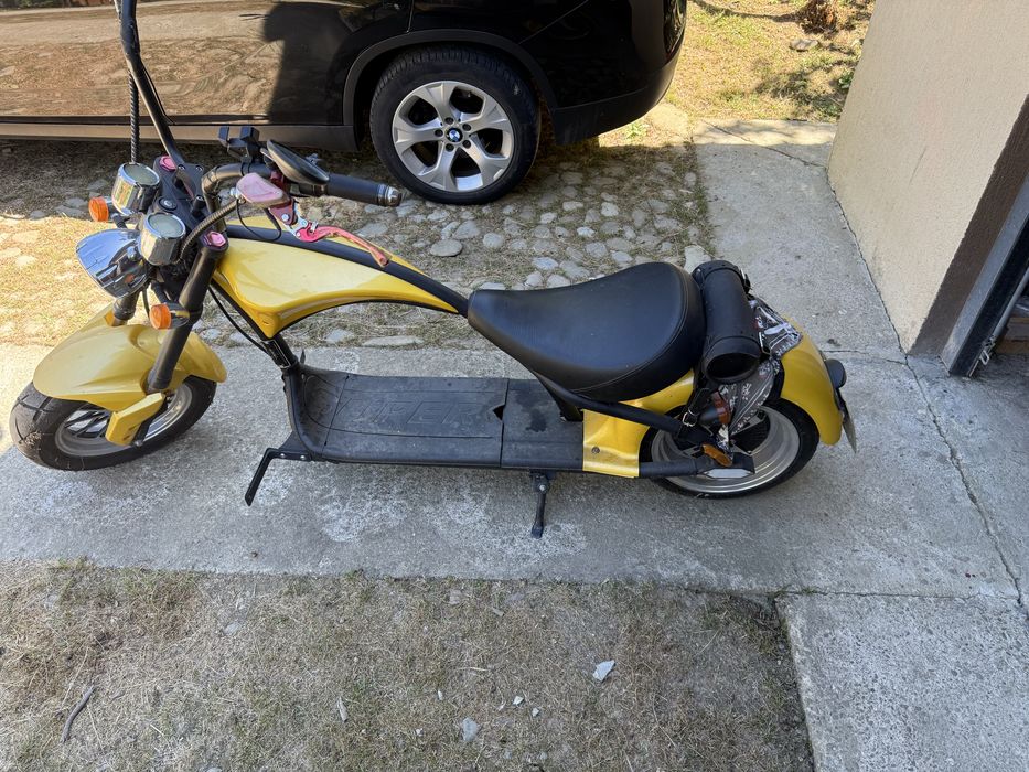 Scuter electric chopper